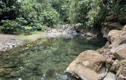 Matapalo, Quepos, Puntarenas,, Puntarenas
