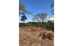 Golfito>Pilón, Puntarenas, Puntarenas, Puntarenas, Puntarenas