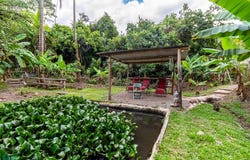 Finca Pura Vida , Cajón, Perez Zeledon, San Jose, Perez Zeledon, San Jose