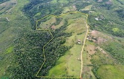 Biolley, Buenos Aires, Puntarenas, Buenos Aires, Puntarenas 60308