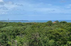 Lejos de Vista , Playa Grande, Santa Cruz, Guanacaste, Santa Cruz, Guanacaste 50308
