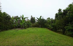 Alto San Juan, camino a playa Dominical., Pérez Zeledón, San José, Pérez Zeledón, San José