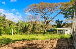X86V+62, Guanacaste Province, Nosara, Costa Rica, Nicoya, Guanacaste Province
