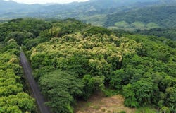 Ceiba s/n, Hojancha, Hojancha, Guanacaste, Hojancha, Guanacaste 51101