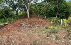 Matapalo , Cabo Velas, Santa Cruz, Guanacaste, Santa Cruz, Guanacaste 50308