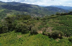 Montesión s/n, Tuis, Turrialba, Cartago, Turrialba, Cartago 30507