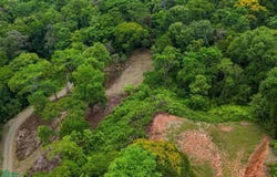 Costa Azul 53, Puerto Cortés, Osa, Puntarenas, Osa, Puntarenas