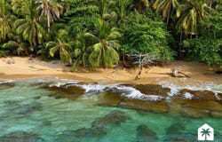 Punta Uva, Punta Uva, Limón Province