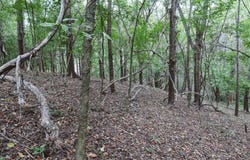 160, Santa Cruz, Guanacaste Province