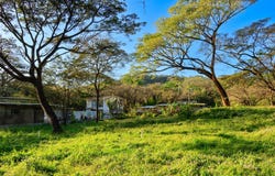 X86V+62, Guanacaste Province, Nosara, Costa Rica, Nicoya, Guanacaste Province