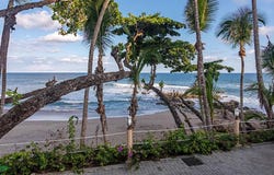 Tango Mar, Puntarenas, Puntarenas 60111