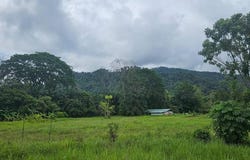 Quepos, Quepos, Puntarenas,, Puntarenas