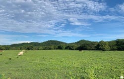 La Garita Nueva , Tamarindo, Santa Cruz, Guanacaste, Santa Cruz, Guanacaste 50309