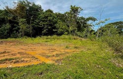 Flat Ocean View Lot in Gated Community , Dominical, Quepos, Puntarenas, 11909, Puntarenas 11909