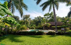 Cana Fistula, La Finca Restaurant & Hostel , Santa Cruz, Santa Cruz, Guanacaste, Santa Cruz, Guanacaste
