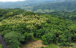 Ceiba s/n, Hojancha, Hojancha, Guanacaste, Hojancha, Guanacaste 51101