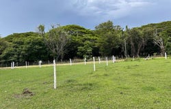 La Lucha street Lot 7, La Cruz, La Cruz, Guanacaste, La Cruz, Guanacaste 51001