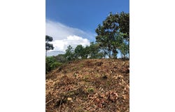 Golfito>Pilón, Puntarenas, Puntarenas, Puntarenas, Puntarenas