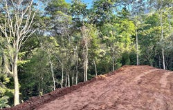 Solo Ceibo, Matapalo, Quepos, Aguirre, Puntarenas, Aguirre, Puntarenas