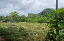 Phase 5, Lot 40 s/n, Puerto Cortés, Osa, Puntarenas, Osa, Puntarenas