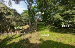 X85J+P9G, Guanacaste Province, Nosara, Costa Rica, Nosara, Guanacaste Province