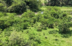 M598+9M, Cahuita, Limón Province