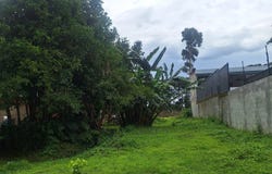 Las Cruces, San Pablo, Heredia, San Pablo, Heredia, San Pablo, Heredia