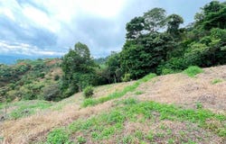 20506 Barrio Jesús, San Isidro, Atenas, Alajuela, Atenas, Alajuela