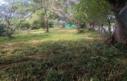 Alajuela, Orotina, San Jerónimo, Orotina, Alajuela, Orotina, Alajuela