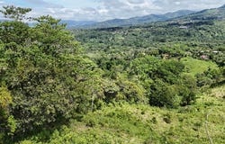 FINCA EN MIRAFLORES: Mountain Agricultural Land For Sale in El General, El General, San José