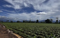 Alajuela, San Carlos, San josecito, San Carlos - La Fortuna, Alajuela, San Carlos - La Fortuna, Alajuela