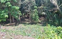 Lot 209 Costa Esterillos Estates, Esterillos, Puntarenas, Esterillos, Puntarenas