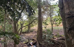 Atenas, Atenas, Alajuela, Atenas, Alajuela