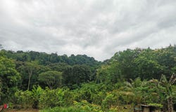 La Mona Golfito, Golfito, Puntarenas, Golfito, Puntarenas