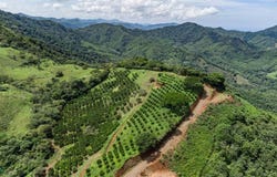 Maquenco Finca Naranja - 7.9 ha Orange Orchard with Views , Belén de Nosarita, Nicoya, Guanacaste, Nicoya, Guanacaste 50207