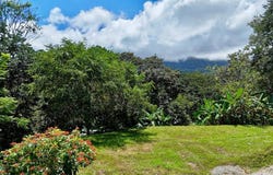 Barrio la colonia s/n, Bahía Ballena, Osa, Puntarenas, Osa, Puntarenas