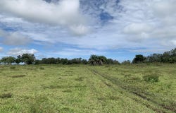 Unnamed Road, Cañas Dulces, Guanacaste Province