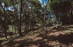 160, Santa Cruz, Guanacaste Province