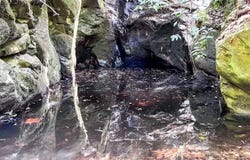 San Juan, Poas, Alajuela, Alajuela