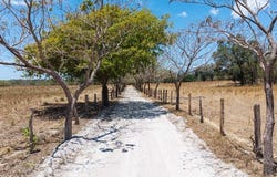 Hacienda Ruiseg Largo: A 784-Acre Ranch in the Heart of Guanacaste, Costa Rica â€“ Your Ideal Investment Opportunity, Liberia, Guanacaste 50101
