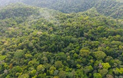 Finca Gran Bijagua: Breathtaking 10-Hectare Mountain Sanctuary in Bijagua, Costa Rica, Bijagua, Alajuela 21304