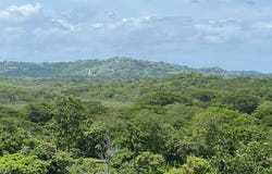 Lejos de Vista , Playa Grande, Santa Cruz, Guanacaste, Santa Cruz, Guanacaste 50308