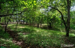 Junquillal Lot , Veintisiete de Abril, Santa Cruz, Guanacaste, Santa Cruz, Guanacaste