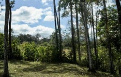 Chachagua Costa Rica near La Fortuna, San Carlos - La Fortuna, Alajuela, San Carlos - La Fortuna, Alajuela