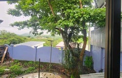 Naranjo, Naranjo, Alajuela, Naranjo, Alajuela 20604