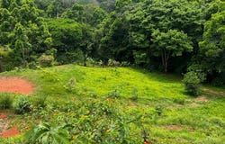 Bijagual, Bijagual, Puntarenas, Bijagual, Puntarenas