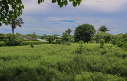 X8WG+R7, Provincia de Guanacaste, Santa Cruz, Costa Rica, Santa Cruz, Guanacaste Province