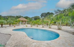 Colibri and Lorito , Cartagena, Santa Cruz, Guanacaste, Santa Cruz, Guanacaste