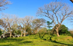 X86V+62, Guanacaste Province, Nosara, Costa Rica, Nicoya, Guanacaste Province