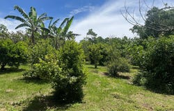 Santa Gertrudis Norte, Grecia, Alajuela, Grecia, Alajuela